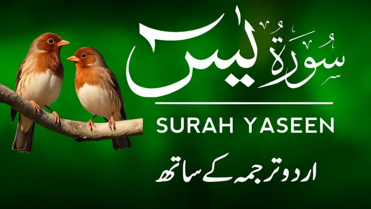 Surah Yaseen | Surah Yaseen With Urdu Translation | Al Furqan Studio | Ep100