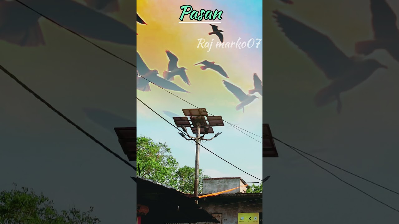 Pasan sky nature and beautiful view 💯💯🥰🥰🥰🥰🥰🥰