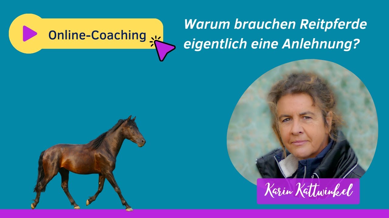 Warum brauchen Reitpferde eigentlich eine Anlehnung?