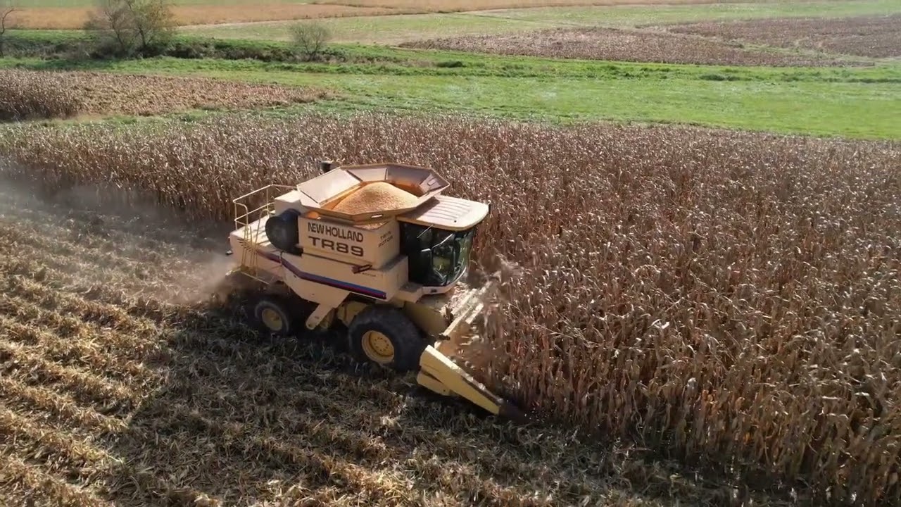 Morrow Custom Farming combining corn with a NH TR89