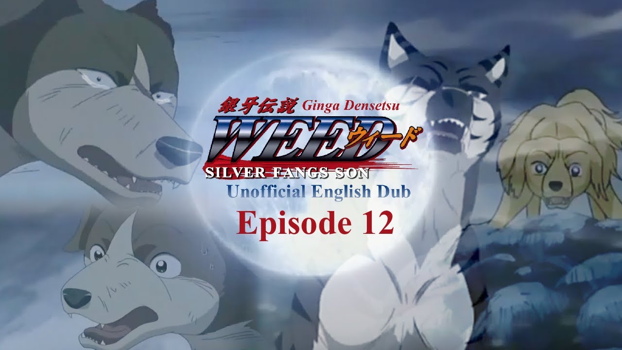 Ginga Densetsu Weed- Episode 12 (UNOFFICIAL ENGLISH DUB)