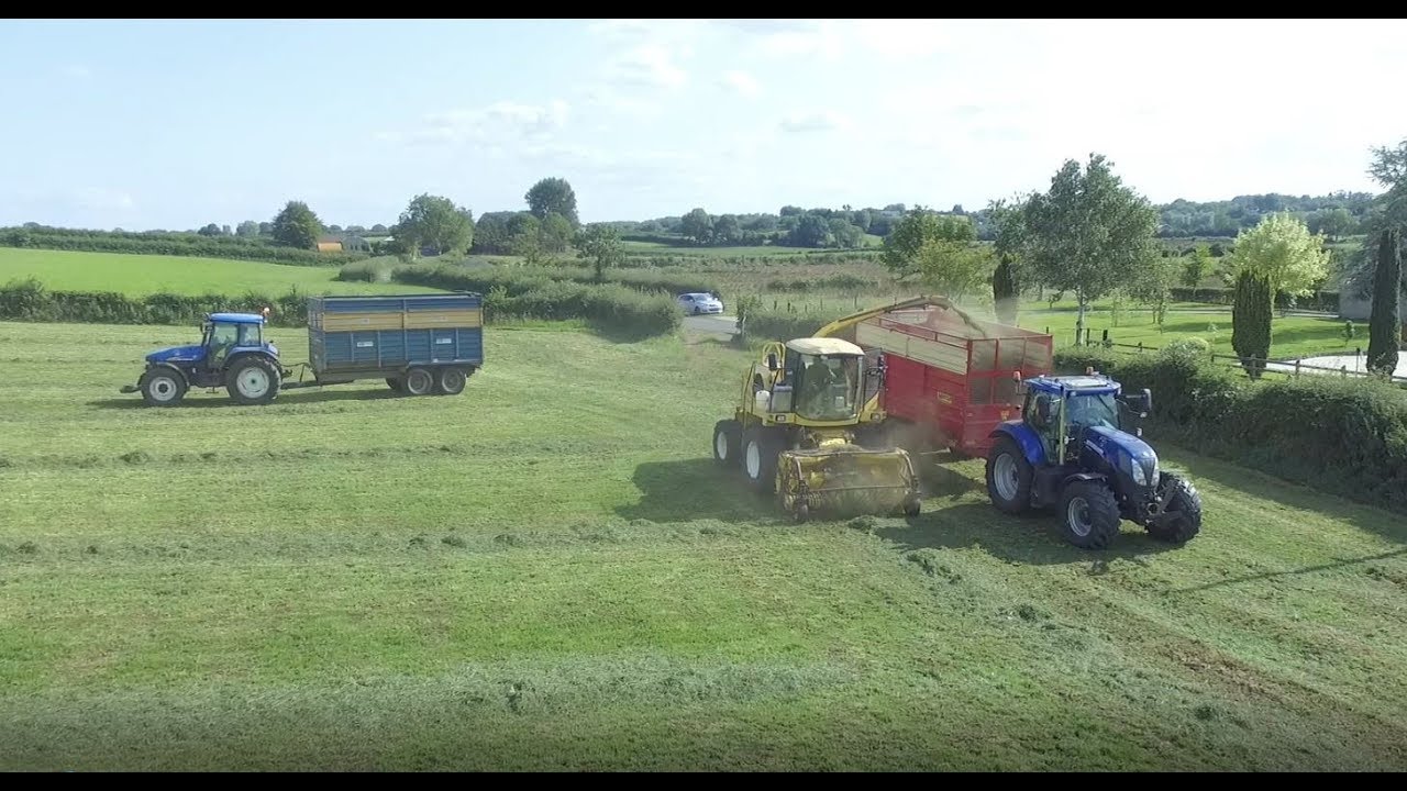 Brennan farms at silage