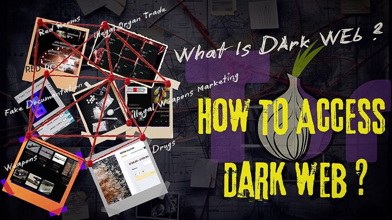 How to Access the Dark Web for Educational Purposes | Exploring Dark Web in Kali Linux