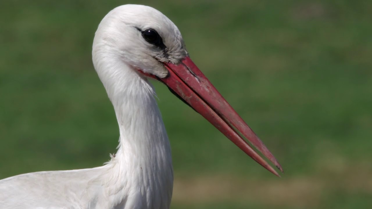 Die Lippe - Naturraum mit Zukunft