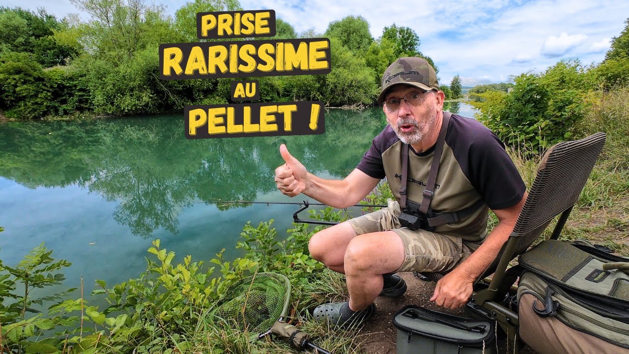 Incroyable, ultra-rare de capturer cette espèce au pellet !