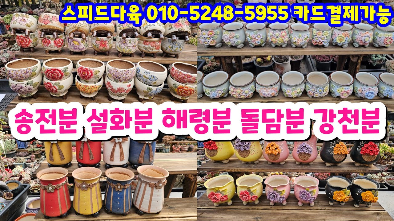 26.3.13🌹 송전분 설화분 해령분 돌담분 강천분 도향분 다육이흙 사랑이부터 각종 부자재까지 한번에 소개해요🌹 #스피드다육 010-5248-5955 전국택배 유료광고포함 