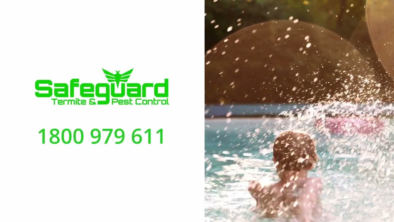 Safeguard Pest Control - Summer Pests