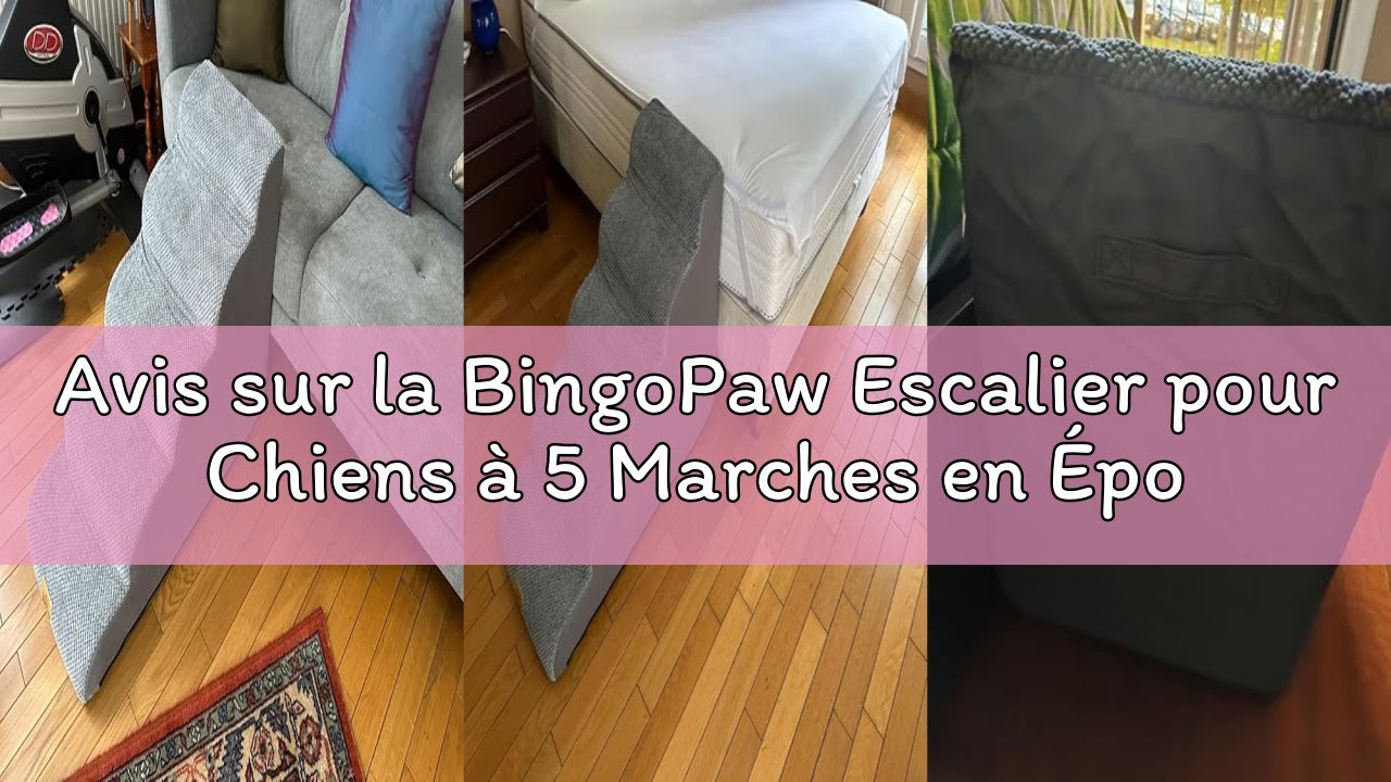 Avis sur la BingoPaw Escalier pour Chiens à 5 Marches en Éponge Haute Densité, Rampe pour Chien Anti
