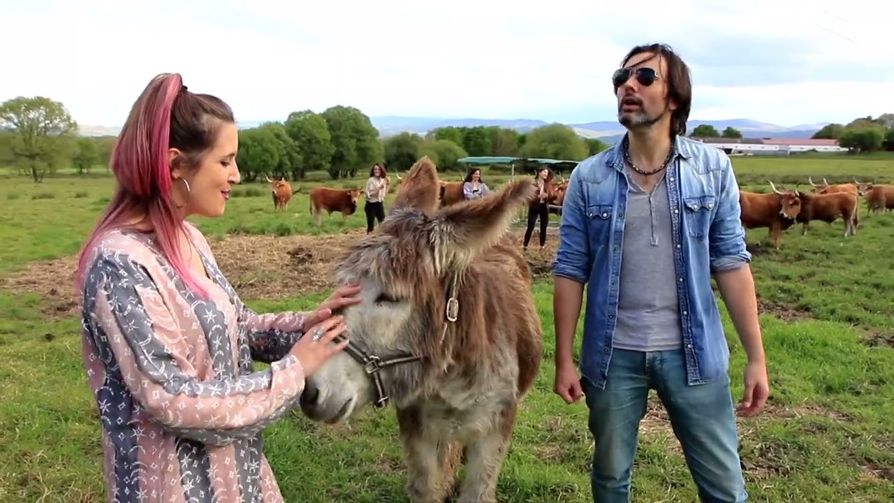 A banda da Loba & Brais Morán -  Denuncia do equilibrio