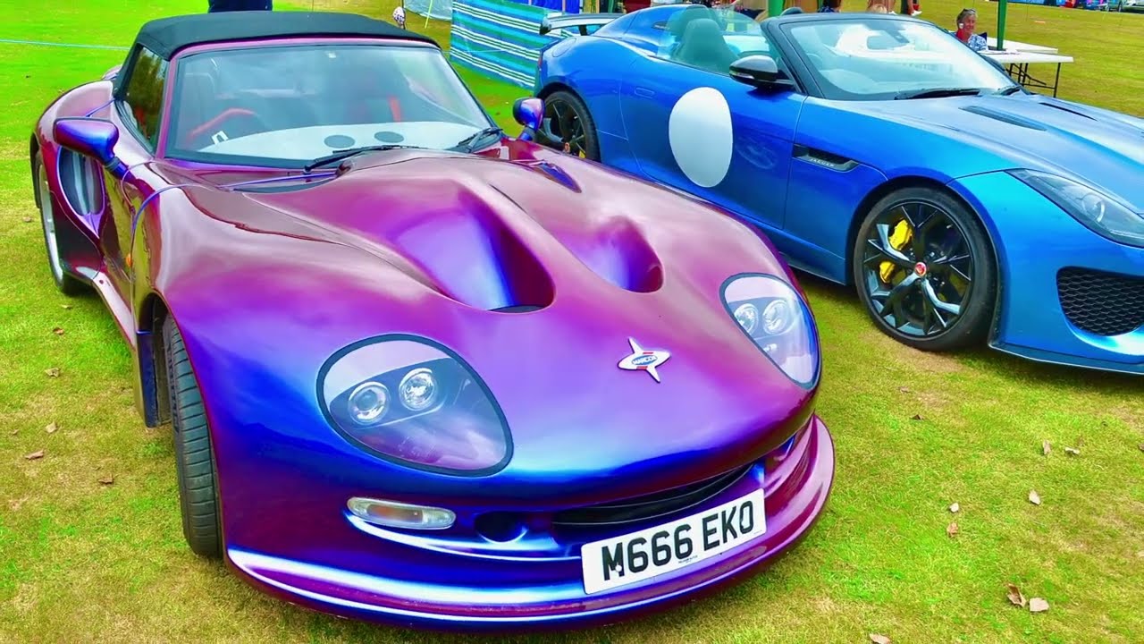 Stebbing Village Car & Dog Show - 2023