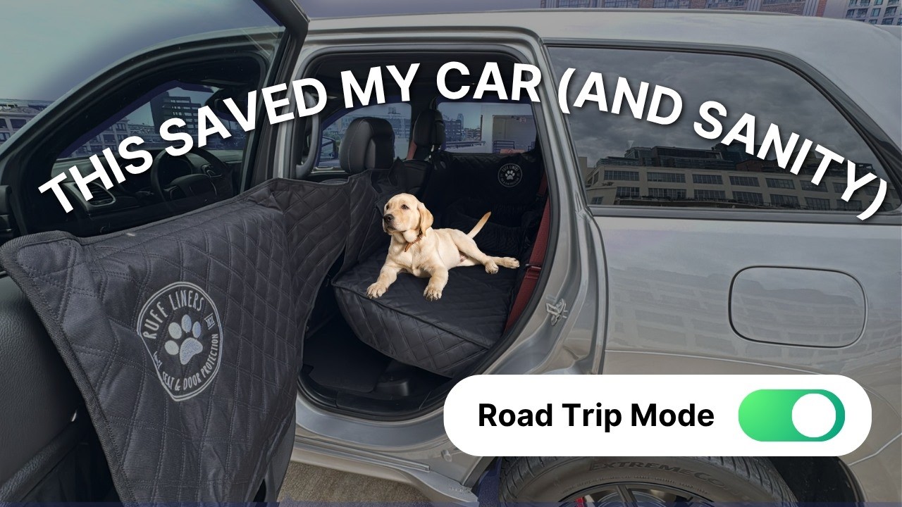 Ruffliner Dog Seat & Door Cover Install | POV Setup for Any Car or SUV (Backseat Protection)