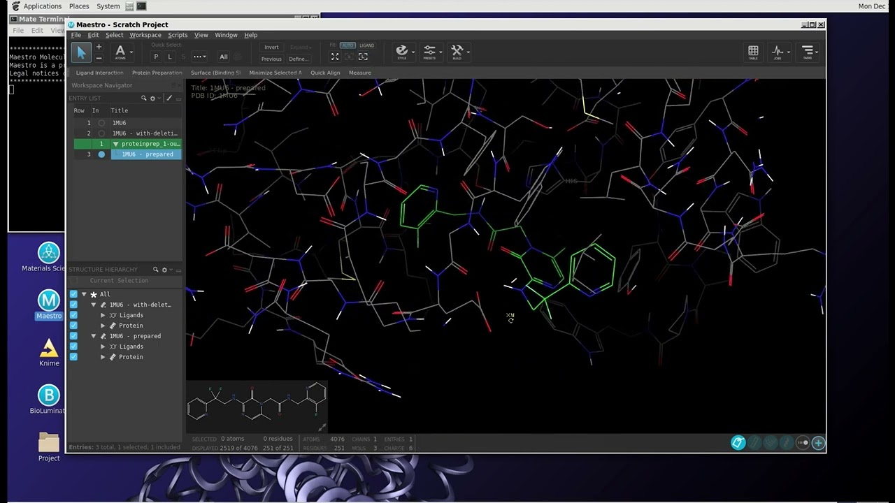 Virtual screening workflow using Schrödinger software