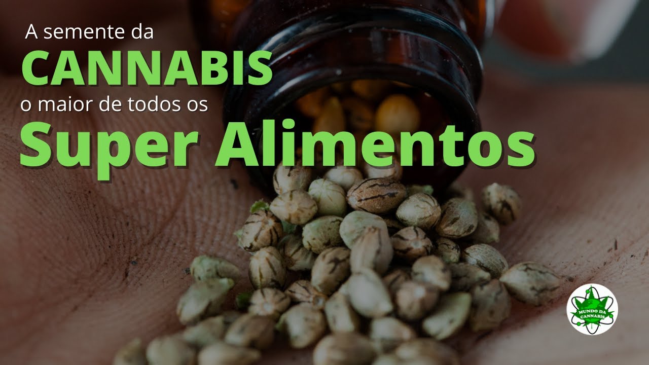 SEMENTE DE MACONHA: O Superalimento Que Vai Revolucionar Sua Sa&uacute;de!