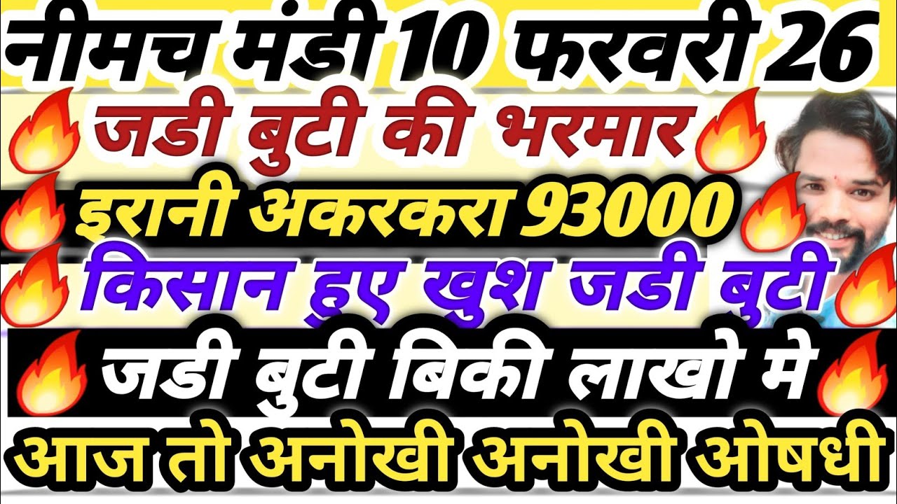 नीमच मंडी भाव। औषधी भाव। अश्वगंधा भाव। Neemuch Mandi bhav aushdhi bhav, ashwagandha bhav neemuch 