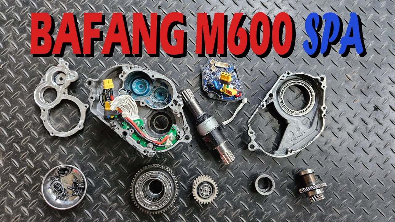 Bafang M600 Spa || Re Greasing Bafang M600