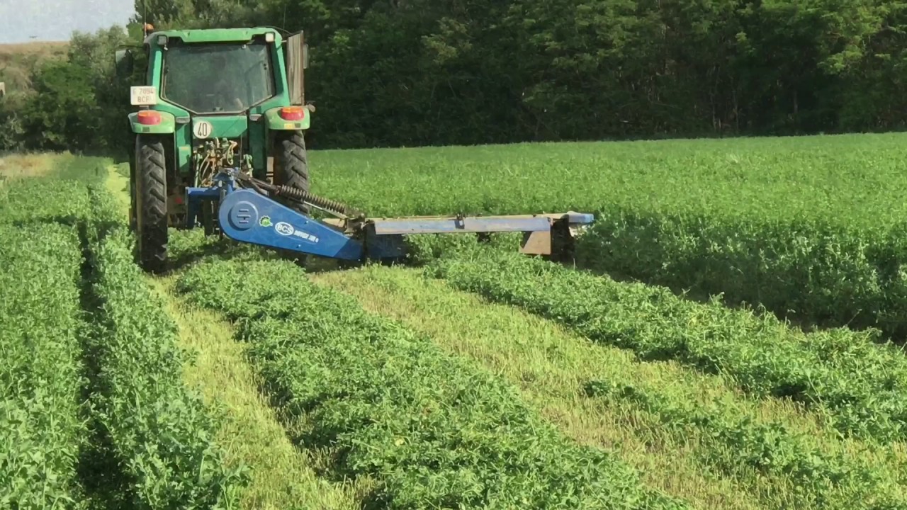 Agroferma; Entrega y puesta en marcha SEGADORA BCS ROTEX XR6