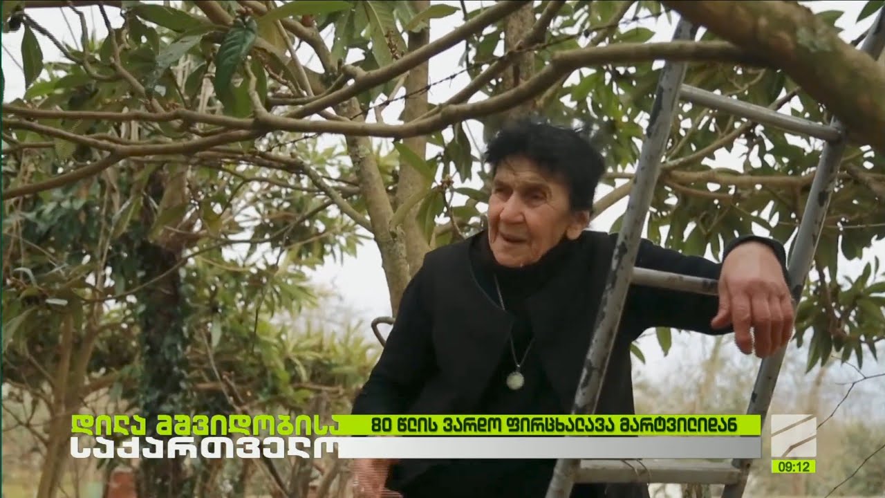 ოთხმოცი წლის ვარდო ფილცხალავა მარტვილიდან; დილა მშვიდობისა საქართველო-2026.02.18