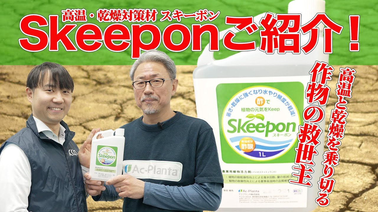 高温・乾燥対策資材「Skeepon(スキーポン)」の使い方と効果を徹底解説！【農業】【片倉コープアグリ】