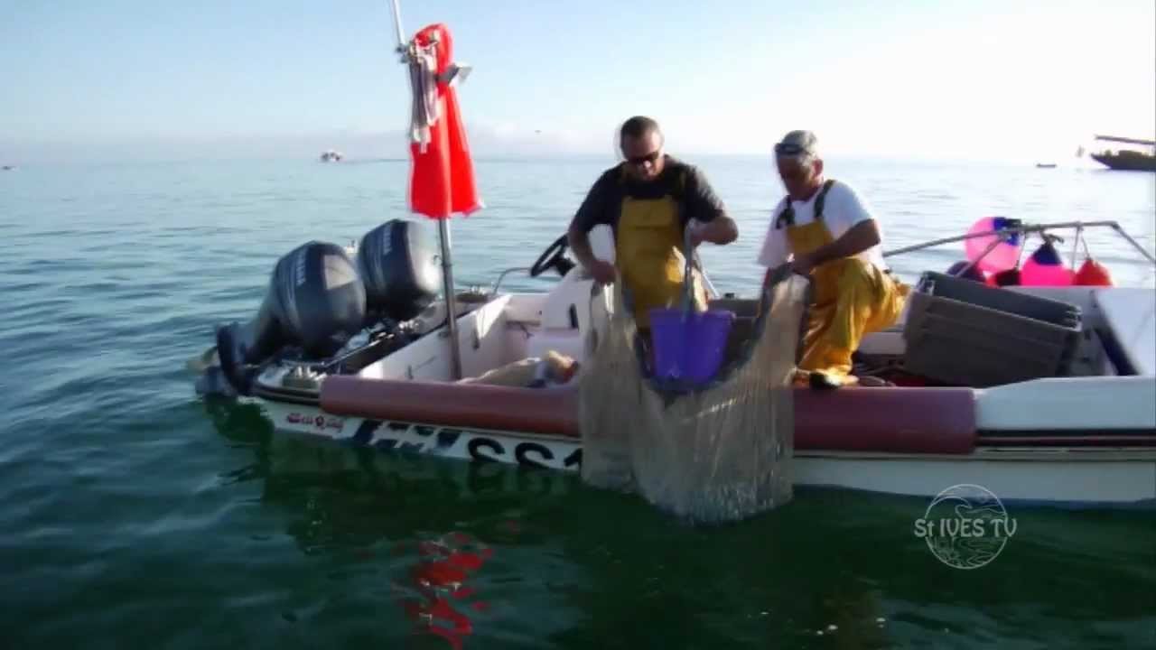 Sustainable fishing in St Ives bay. St Ives, Cornwall
