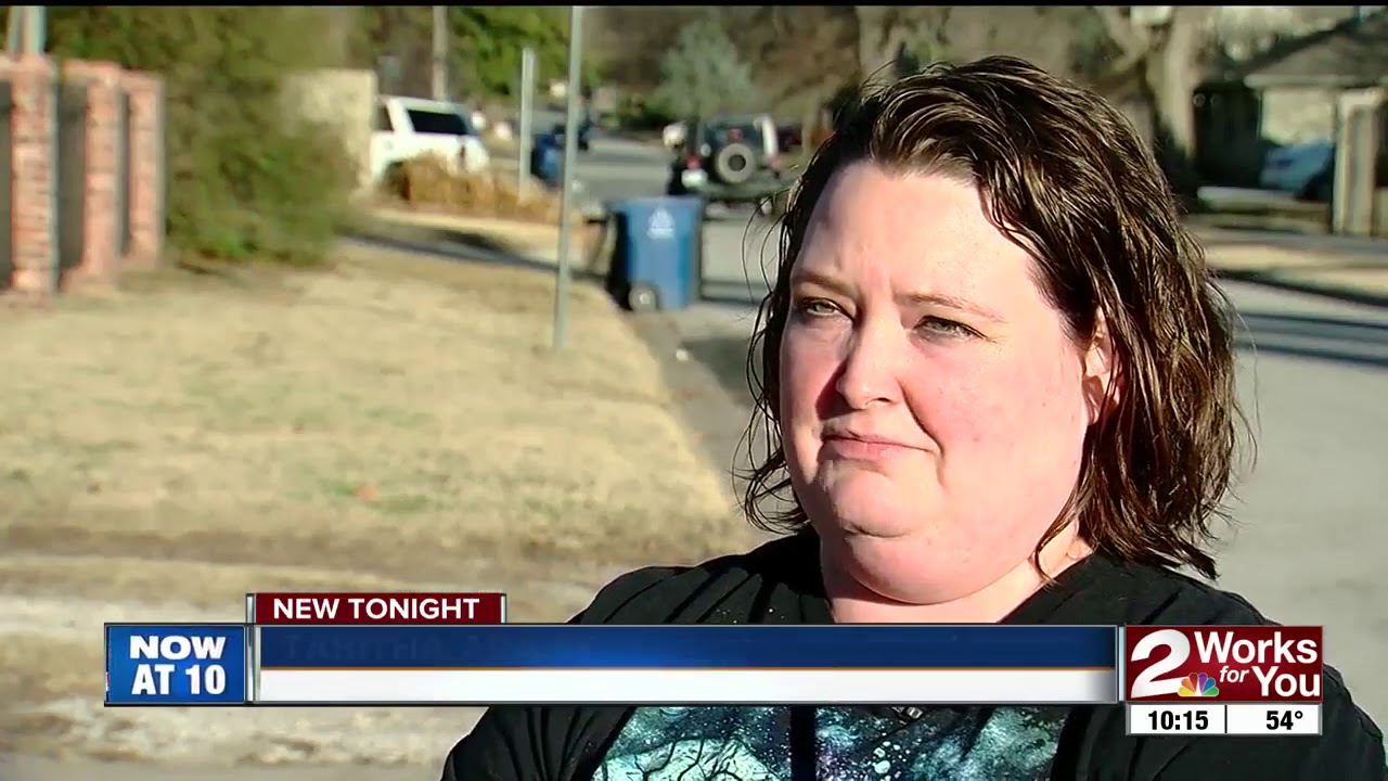 People running into unexpected obstacles trying to get their dogs after trainer's home searched