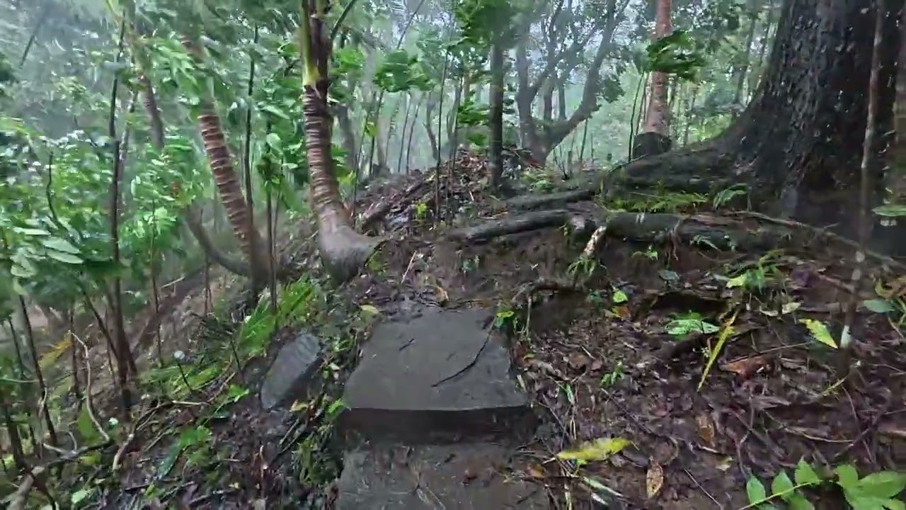 Philippines 2025 - Typhoon Uwan Experience