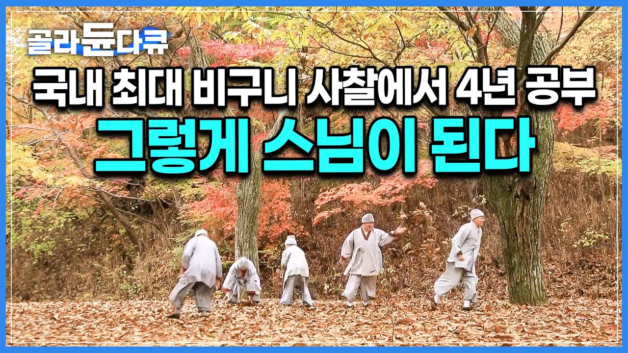 젊은 스님들은 이렇게 포교한다! 어린 나이에 출가한 MZ 스님들이 진정한 스님이 되기 위해 들어오는 곳｜운문사 승가대학 요즘 스님들이 숲에서 수행하는 법｜#골라듄다큐