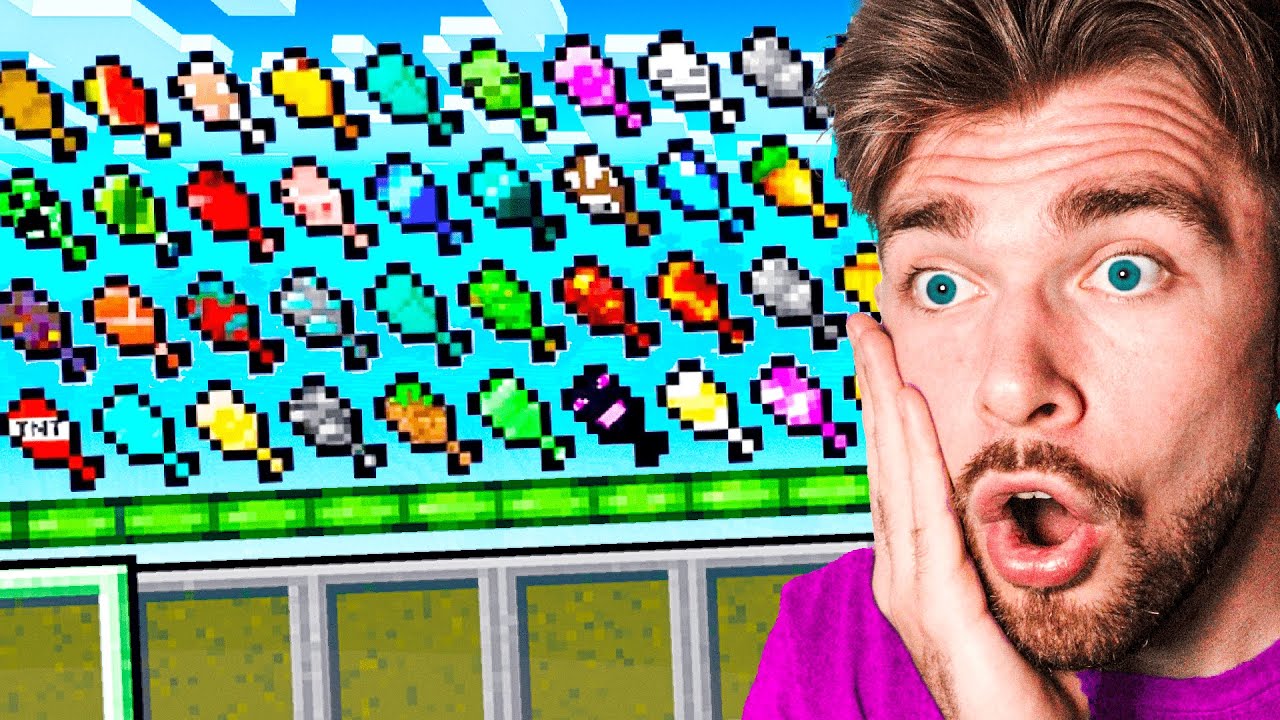 Minecraft, Maar Er Zijn Custom Hungerbars!