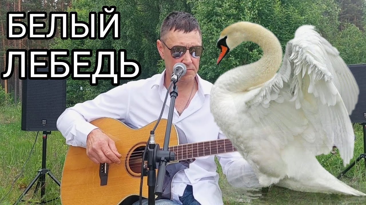 БЕЛЫЙ ЛЕБЕДЬ НА ПРУДУ/ЭТУ ПЕСНЮ ЛЮБЯТ ВСЕ