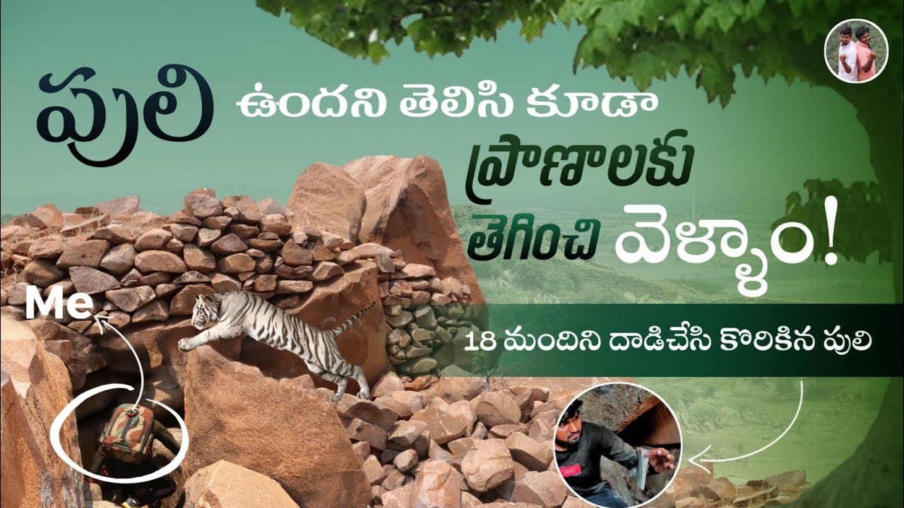 పులి ఉందని తెలిసి కూడా ప్రాణాలు తెగించి వెళ్ళాం | Gulyapalem Caves & Ancient History