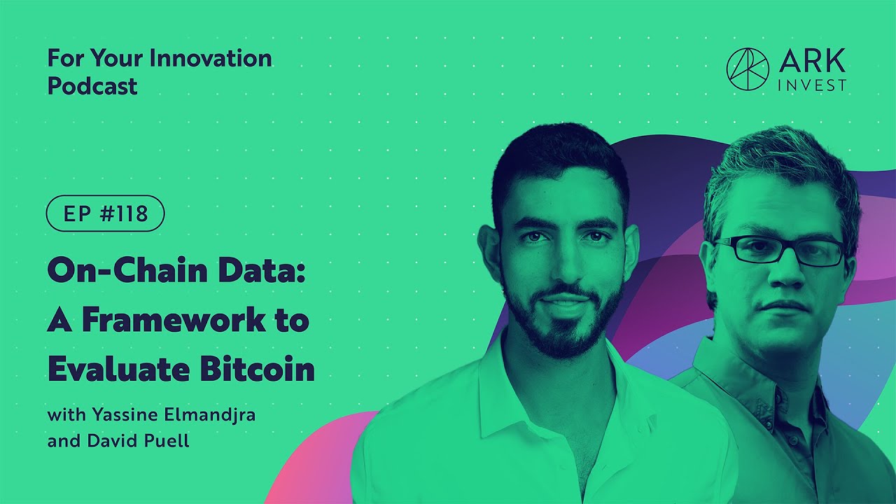 On-Chain Data: A Framework to Evaluate Bitcoin
