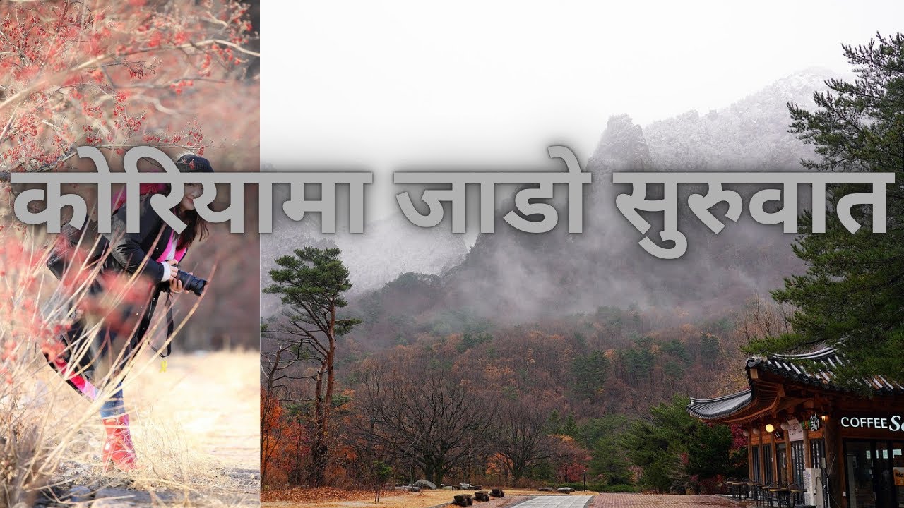 🇰🇷कोरियामा जाडो सुरु हुनुअघि यस्तो हुन्छ🌨️❄️ Korea yama jado suruhunu aghi kasto hunxa? 🇰🇷
