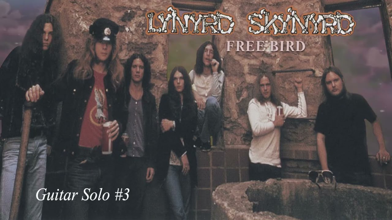 Free Bird's Solos | Guitar Solo #3