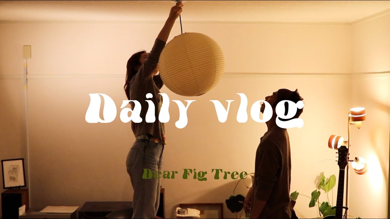 【vlog】リビングの主役、待ち焦がれたフィルム現像。