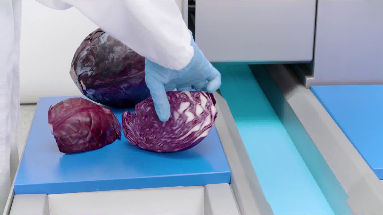 GS10-2 Bandschneidemaschine: Salate und Kräuter schneiden in Perfektion