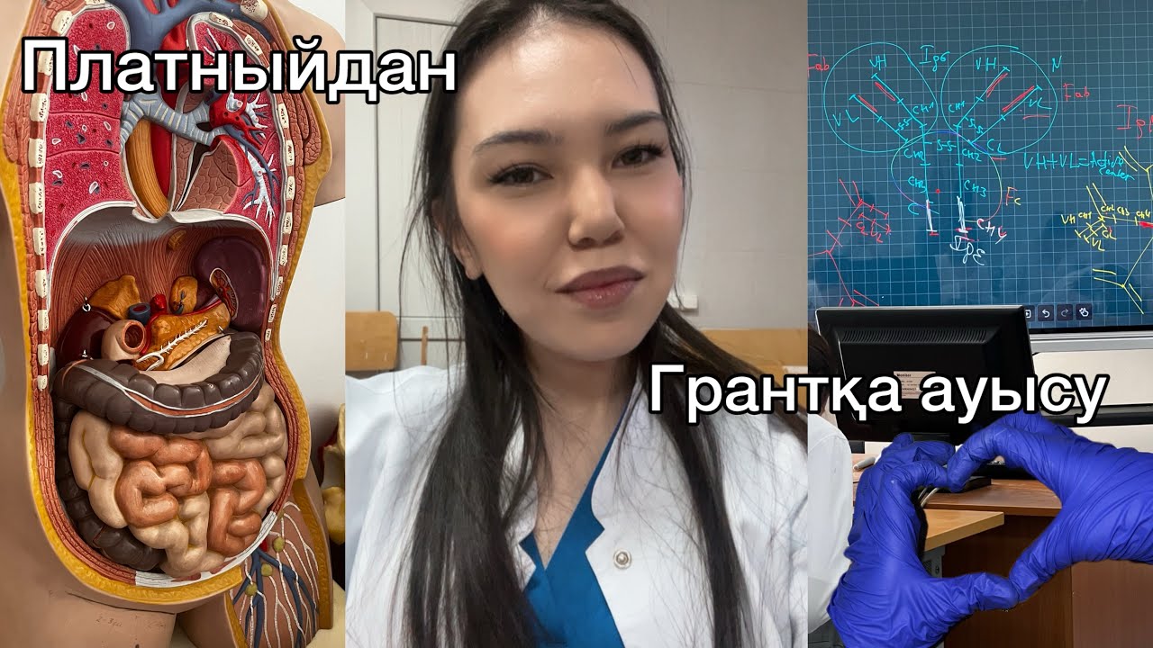Қалай платныйдан грантқа ауысуға болады?|асфен|медик студент|