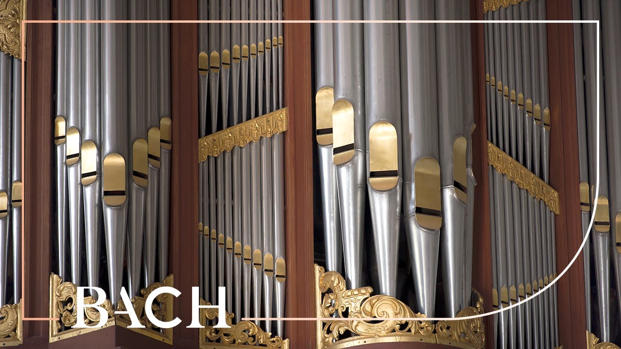 Bach - Dies sind die heil'gen zehn Gebot BWV 678 - Smits | Netherlands Bach Society