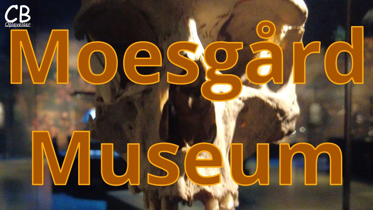 Moesgård museum #vlog