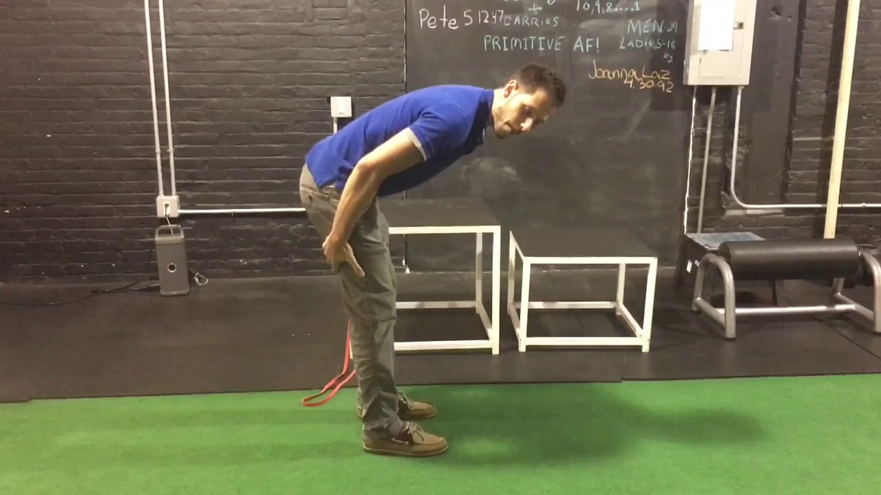Should You Stretch Your Tight Hamstrings
