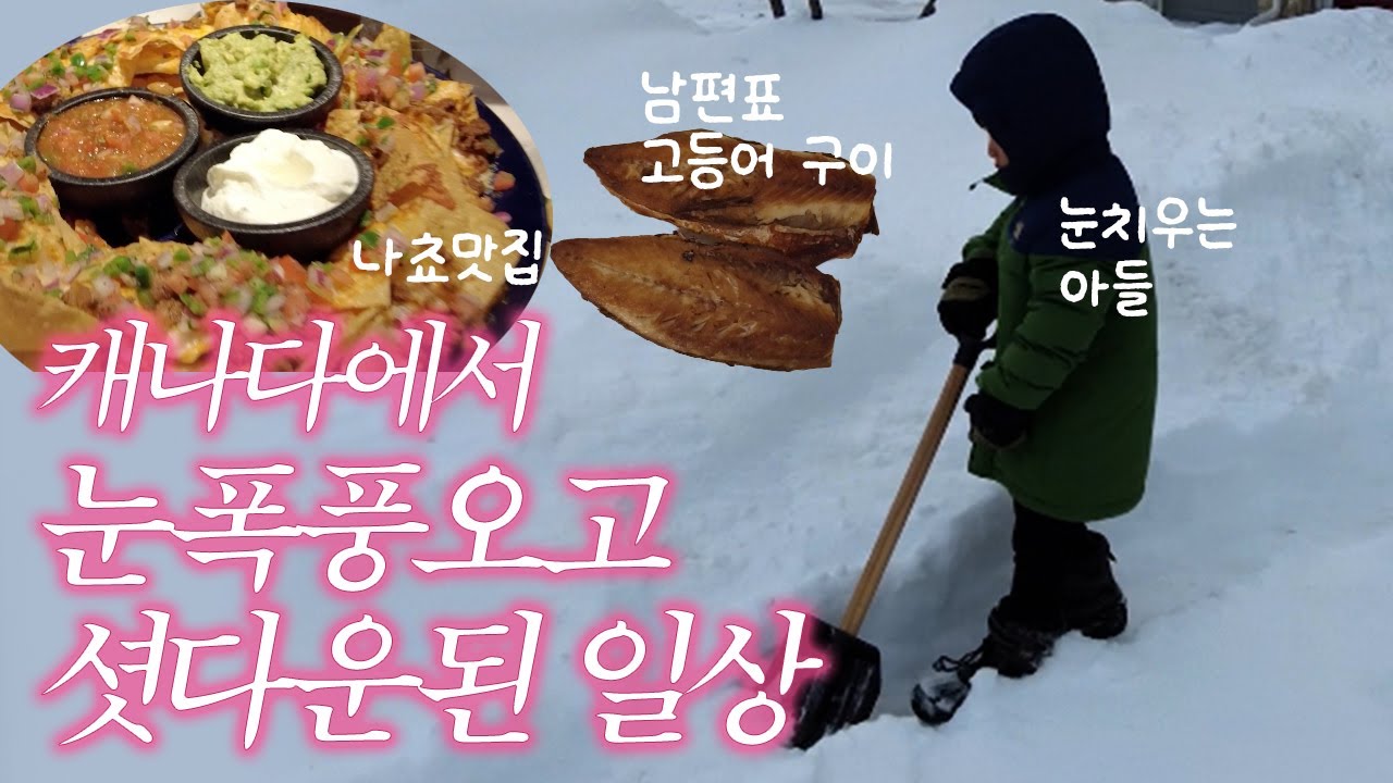 캐나다의 진짜 겨울☃️눈폭풍 일상 ❄️ 스노우스톰에 학교 셧다운된 하루 브이로그 토론토
