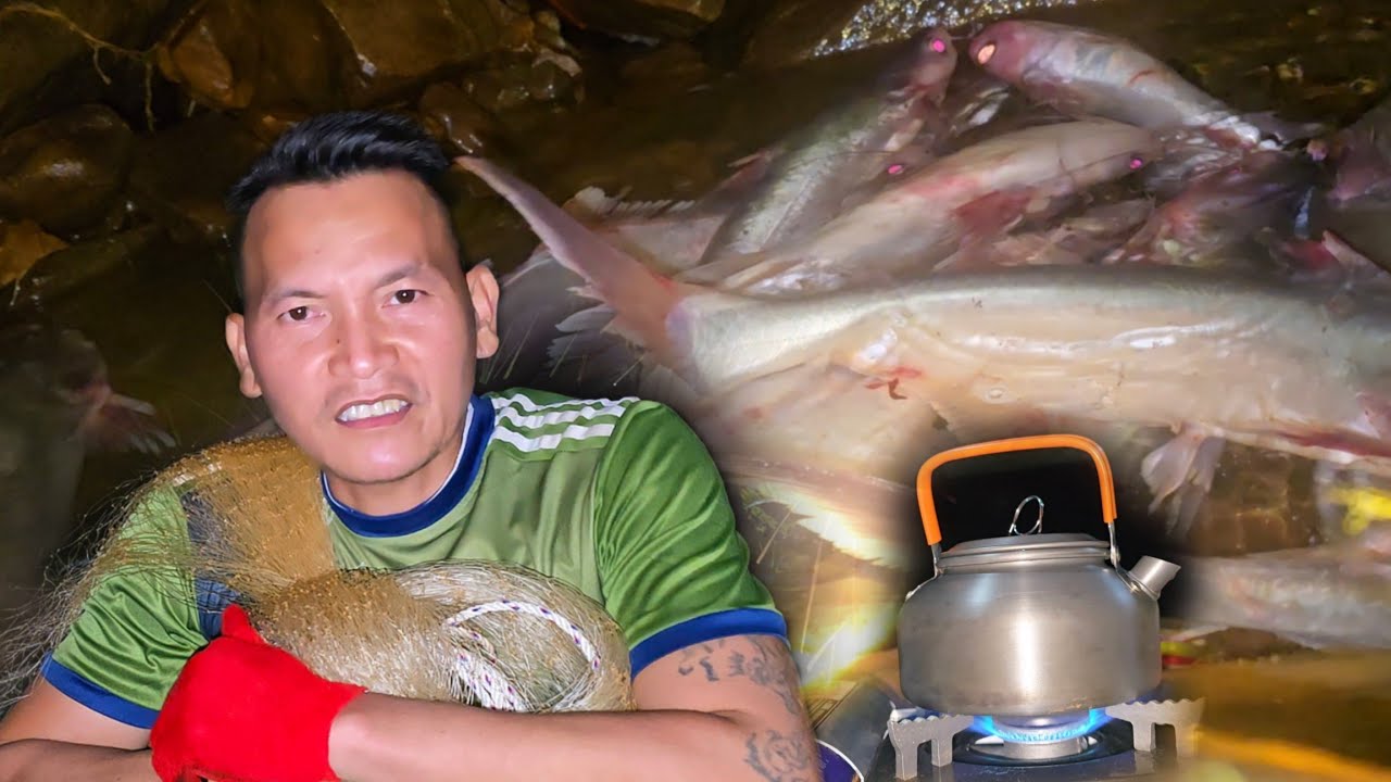 🦈Tidak Salah Alamat‼️😱