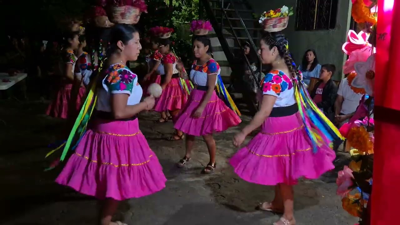 Video 1 - Inditas La Virgen De Carmelita de Tetzacual Huejutla Hidalgo