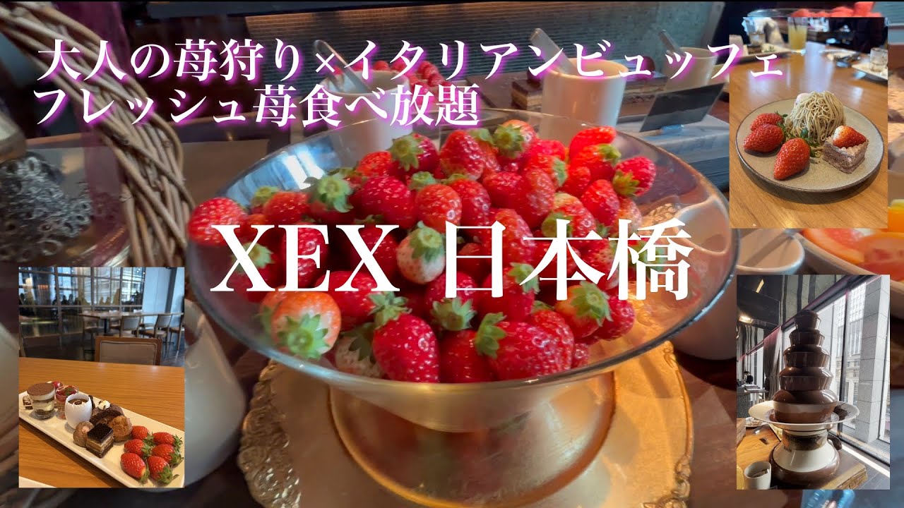 【XEX日本橋】5000円で都会大人の苺狩り　期間限定フレッシュ苺の食べ放題とイタリアンビュッフェ　♯食べ放題　♯苺　♯いちご　♯XEX  ♯ランチビュッフェ