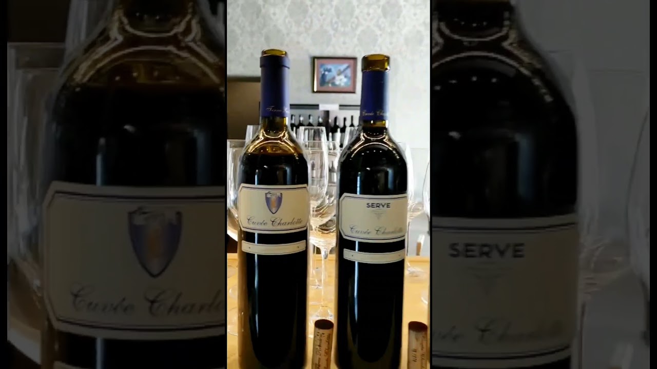 #shorts #TasteOfTradition #WineLovers #DiscoverRomania #VintageVibes #WineTourism #SipSavorExplore