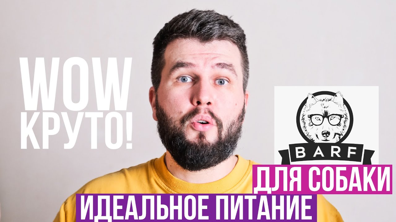 Индивидуальные BARF рационы для моих собак