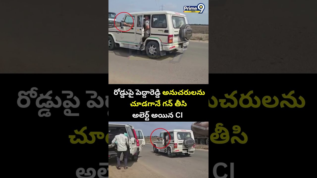 రోడ్డుపై పెద్దారెడ్డి అనుచరులను చూడగానే గన్ తీసి అలెర్ట్ అయిన CI😱 | Tadipatri Ci Viral Video Leak