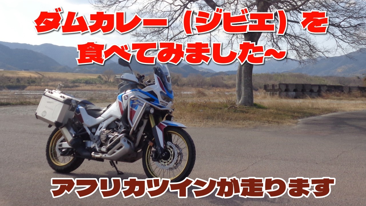 ダムカレー（ジビエ）を食べてみました。