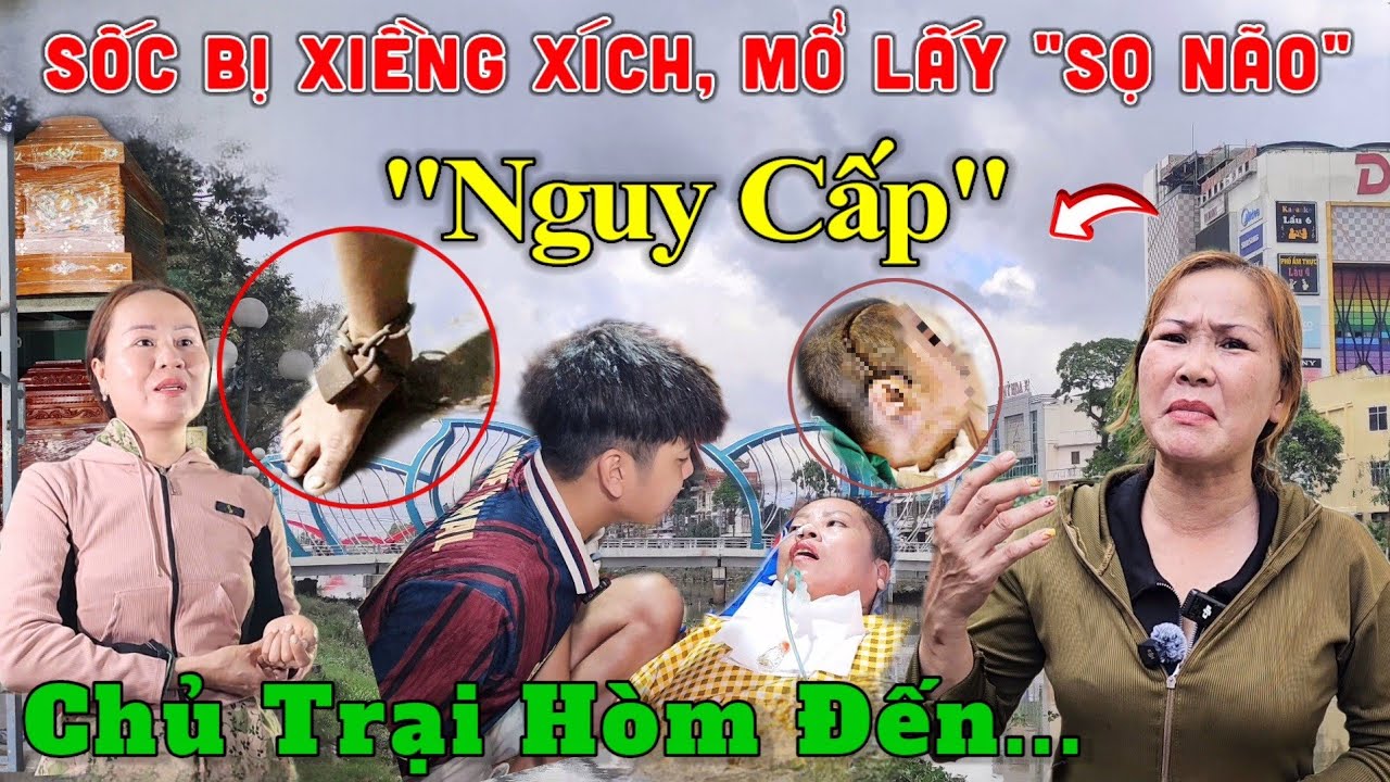 Sốc Chị Chủ Trại Hòm, Chàng Trai 24.T Chăm Sóc Người Mẹ Nằm 