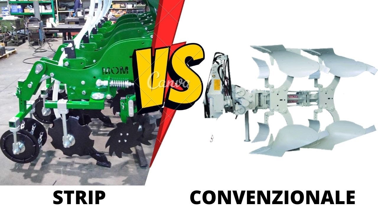 STRIP vs CONVENZIONALE su MAIS. CHI HA VINTO?