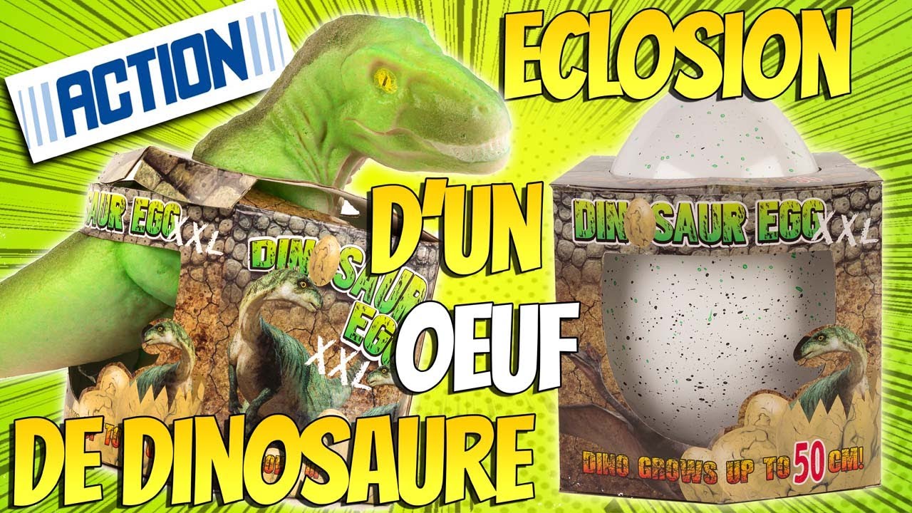 Oeuf de Dinosaure XXL à faire éclore de chez Action T-Rex 50 cm Super Héros et Compagnie Unboxing