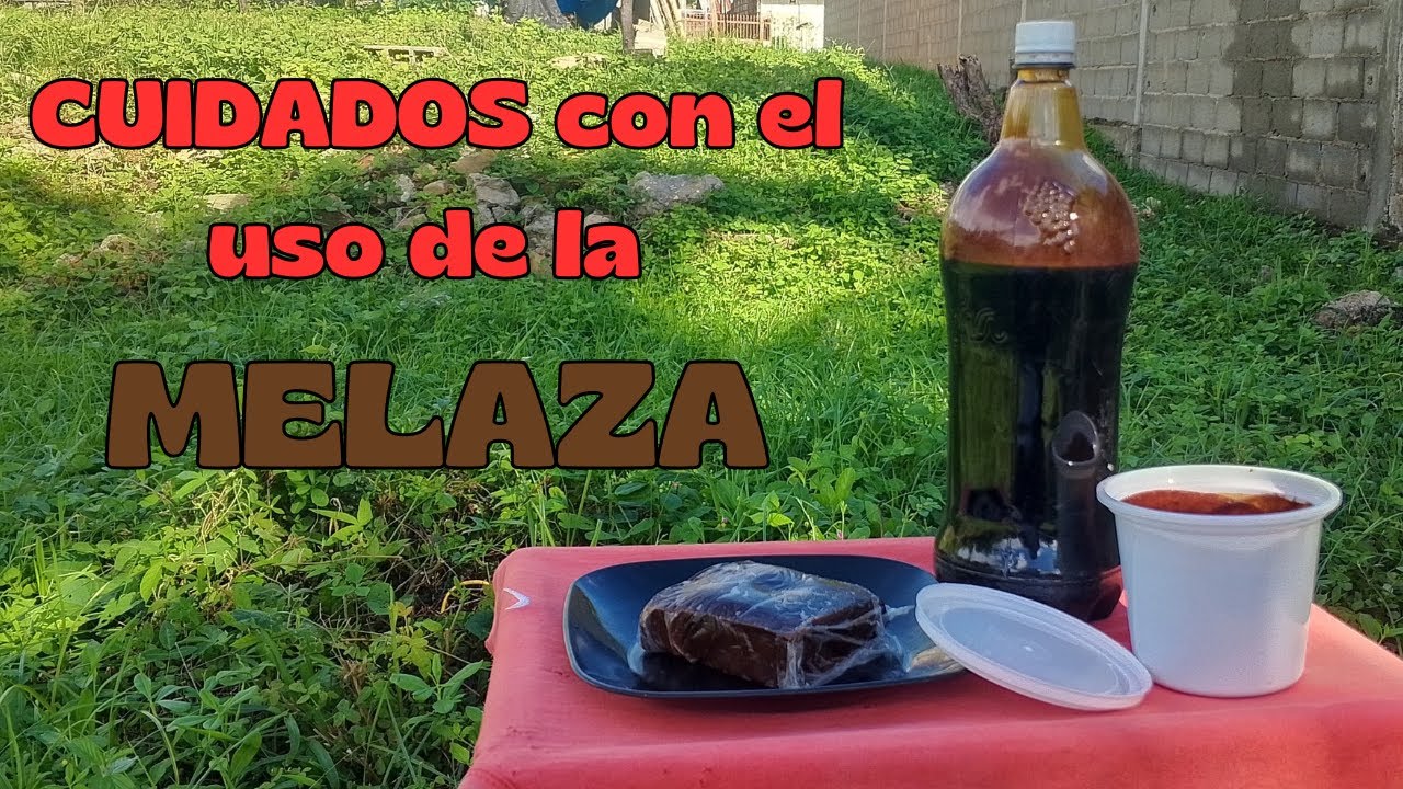 Melaza 🥃, consideraciones 🤔a tomar en cuenta al dosificar 🧪🧤🌡️.